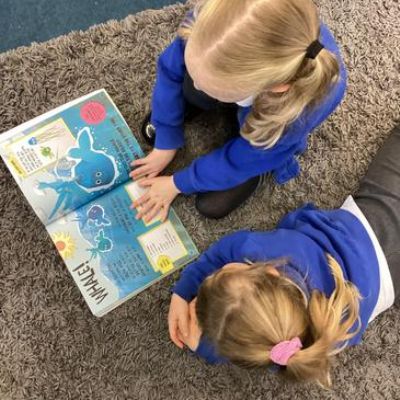 In Owl Class we regularly add to the resources in our provision to enhance the children's learning experiences